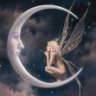 la Fée Enchantée