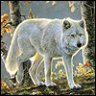 WhiteWolf