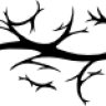 yvounet14