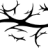 yvounet14