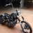 willodu11