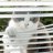 curieuse