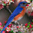 ame_oiseau