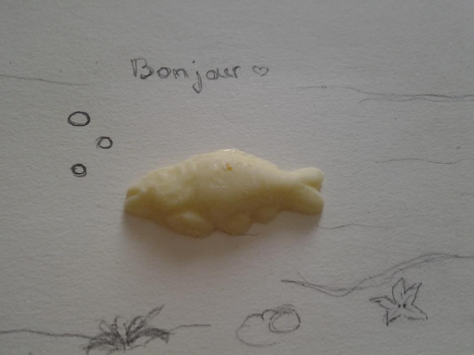 poisson.jpg