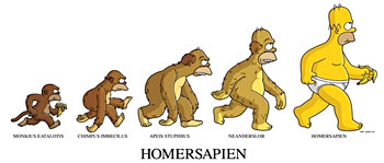 evolution-homer-simpson.jpg